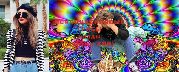 мескалин Переславль-Залесский