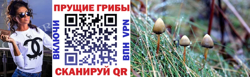 Псилоцибиновые грибы MAGIC MUSHROOMS  Руза 